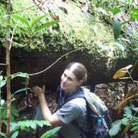 Transect work in the rainforest.